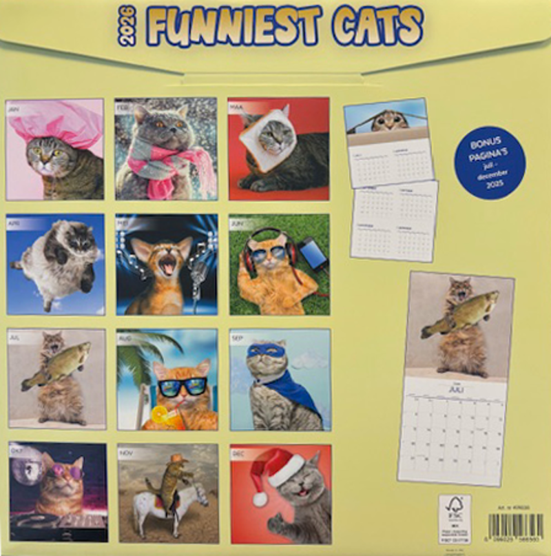 Kalender 2026: Funniest cats