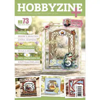 Hobbyzine 73