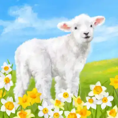 Crystal Card Kit A99 lief klein lammetje 18x18cm