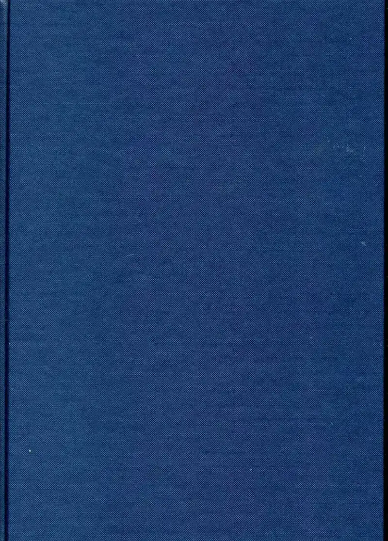 Dummie A4 blauw structuur (MIS869)