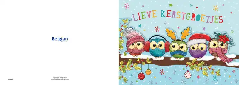 Kerstkaart 2025 uiltjes op een tak