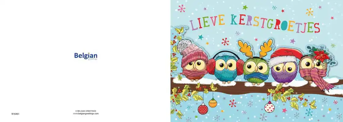 Kerstkaart 2025 uiltjes op een tak