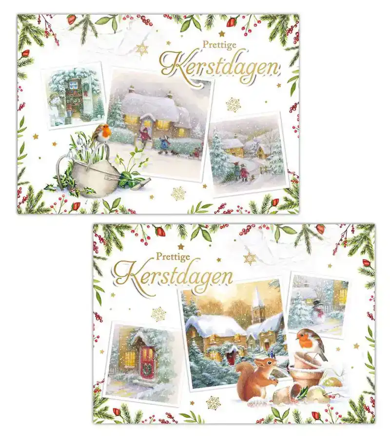 Kerstkaart 2025 3 afbeeldingen diertjes