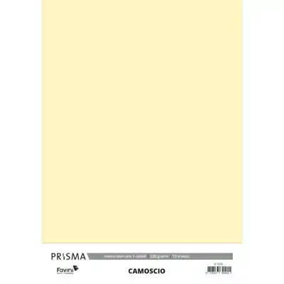 Karton Prisma Favini camoscio 10vel A4 220gr