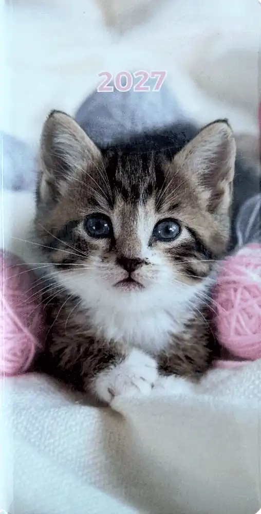 Zakagenda staand 2027 katten