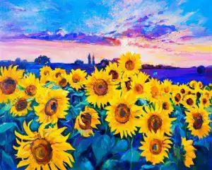Crystal Art Kit 40x50cm Sunflower Fields Full