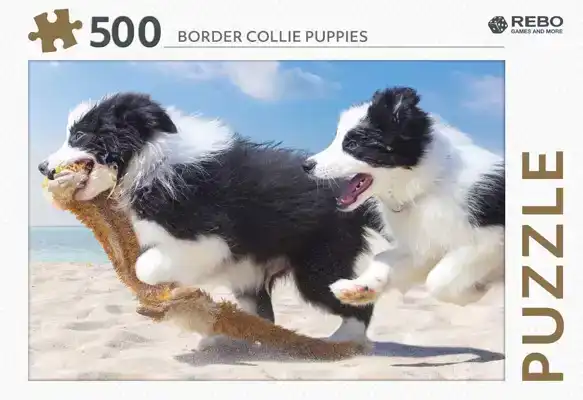 Legpuzzel Border Collie Puppies