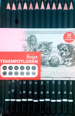 Grijze Tekenpotloden