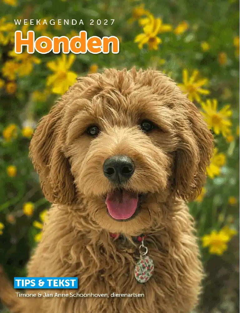 Weekagenda 2027 Honden & Tips