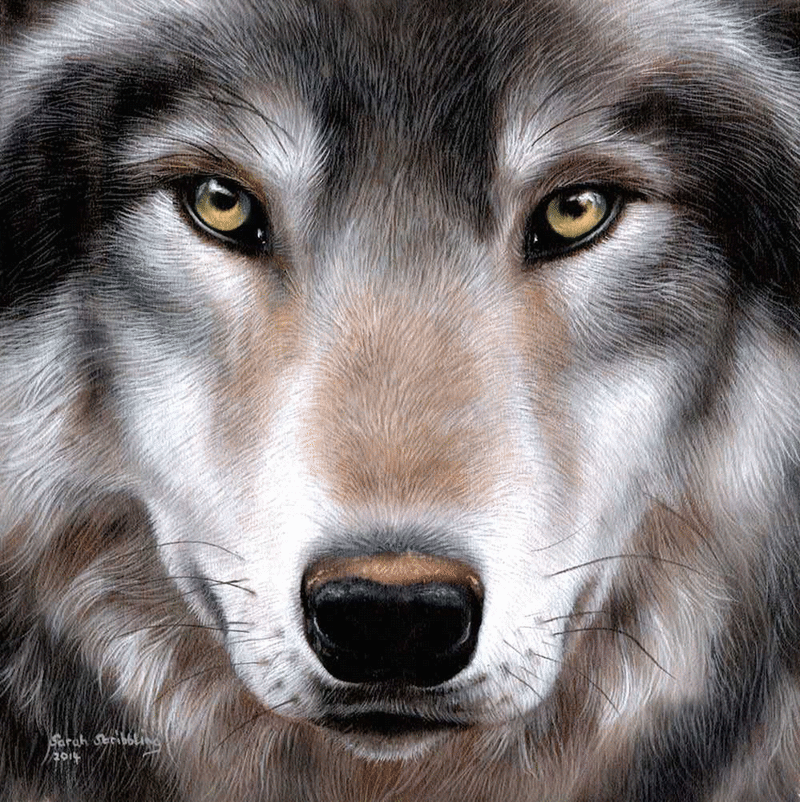 Crystal art kit Wolf