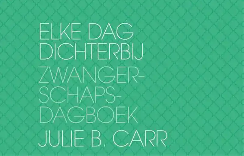 Elke dag dichterbij Zwangerschapsdagboek