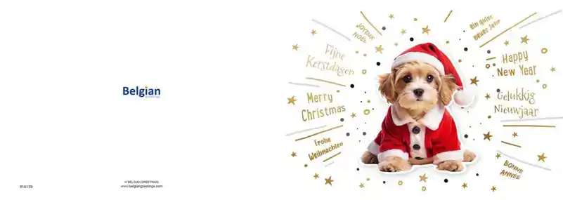 Kerstkaart 2025 kersthond/ kerstkat