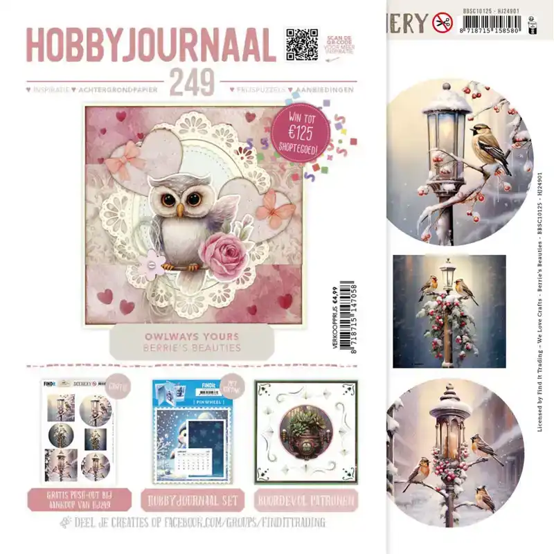 Hobbyjournaal 249