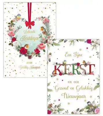 Kerstkaart 2025 fijne kerst takjes en vogels/ kerstdagen hart takken en vogels