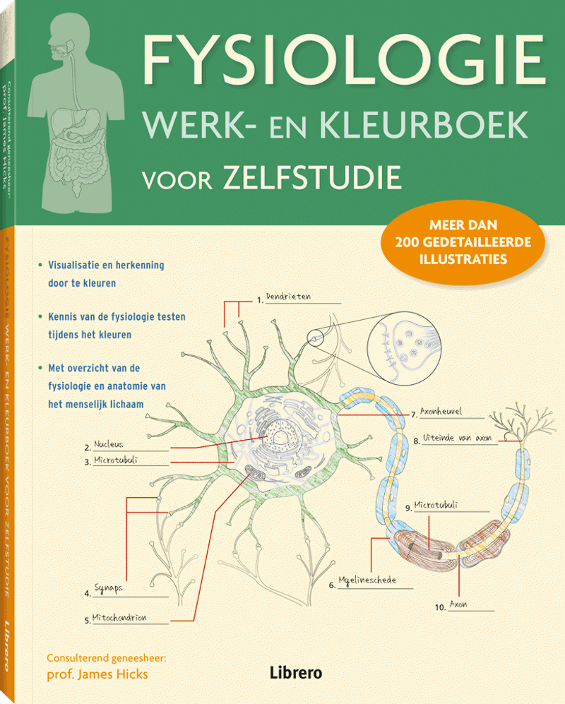 Fysiologie werk en kleurboek voor zelfstudie