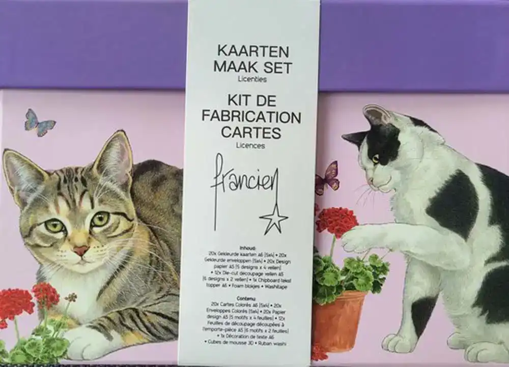 Kaarten Maak Set Francien Paars Met Roze Box
