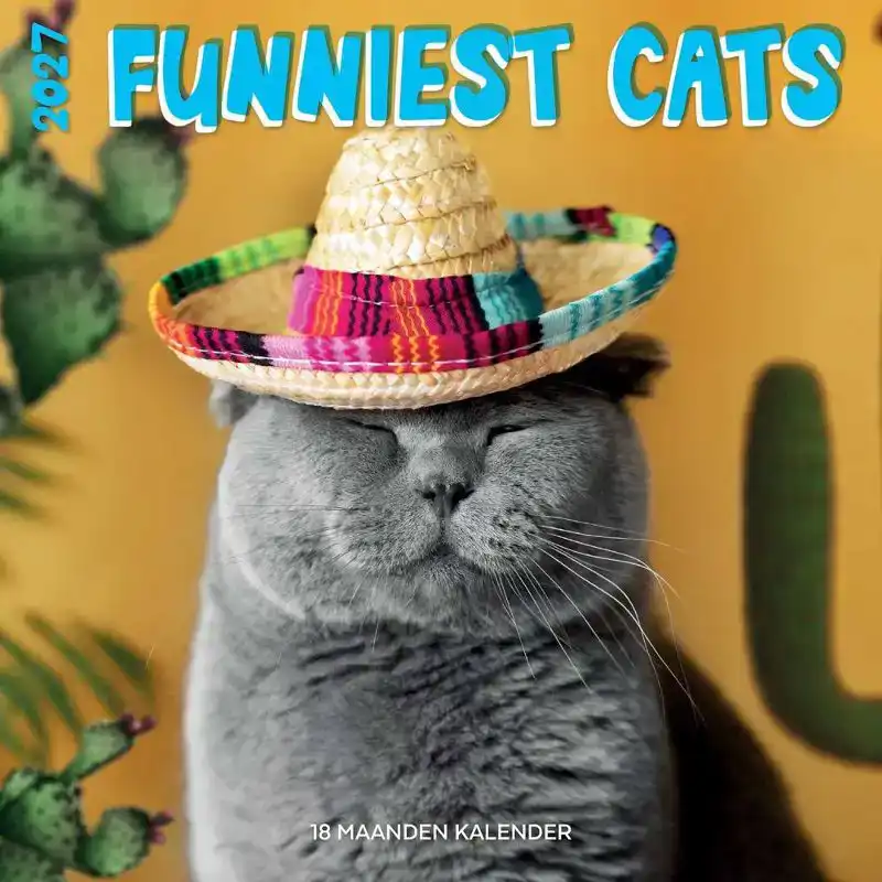 Kalender 2027: funniest cats