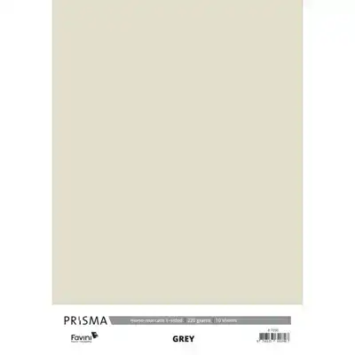 Karton Prisma Favini grijs 10vel A4 220gr