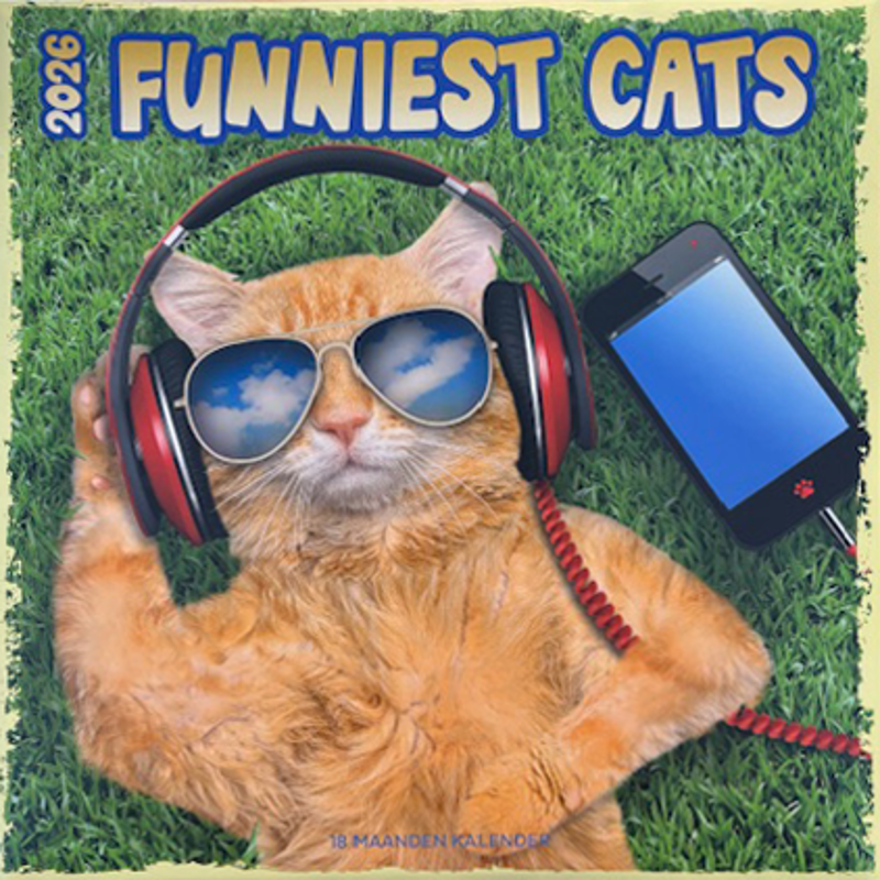 Kalender 2026: Funniest cats