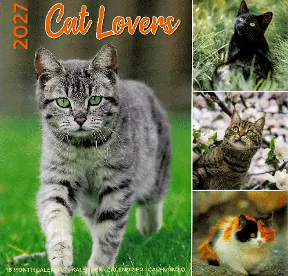 Kalender 2027: cat lovers