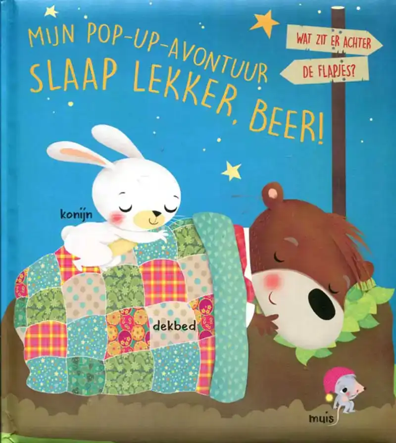 Mijn pop-up avontuur Slaap lekker, Beer