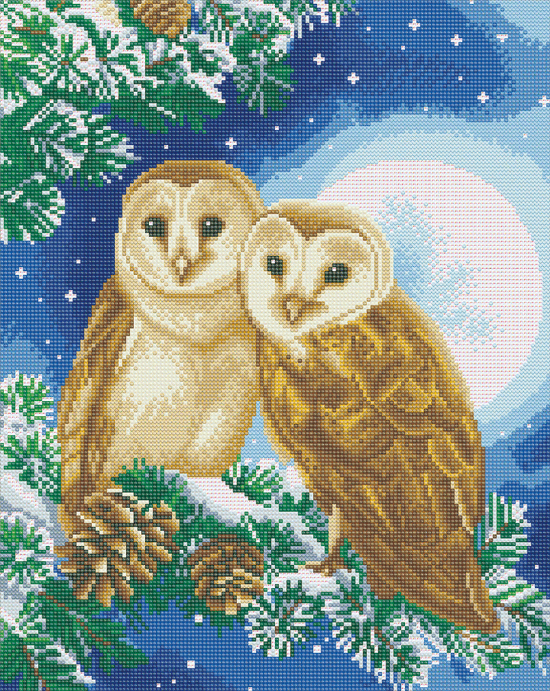 Framed crystal art kit moonlight perch