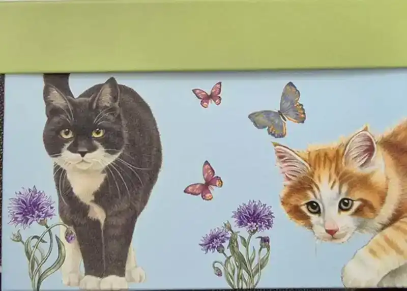 Kaarten maak set Francien groen met blauw