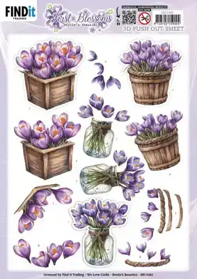 Berries Beauties uitdrukvel First Blossoms Crocus Charm