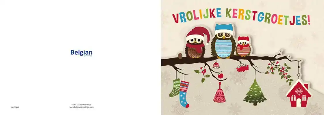 Kerstkaart 2025 uiltjes op een tak