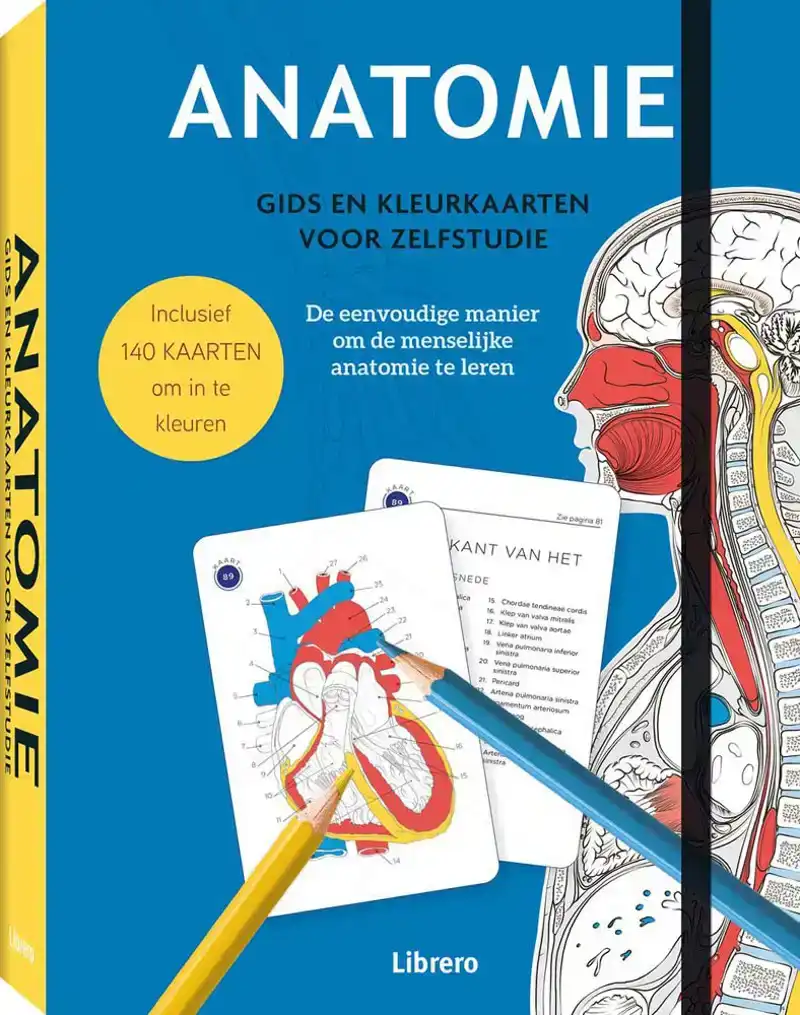 Anatomie kleurkaarten voor zelfstudie