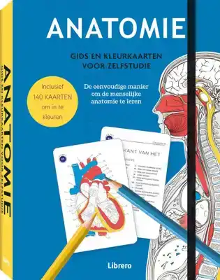 Anatomie kleurkaarten voor zelfstudie
