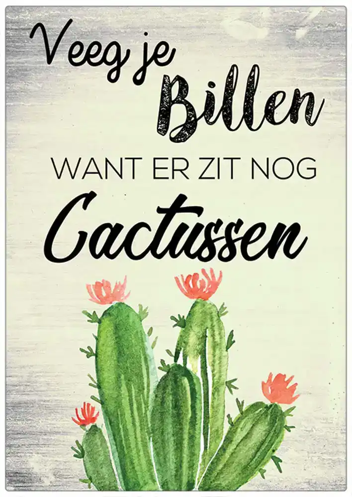 Spreukenbordje, Veeg Je Billen, Want Er Zit Nog Cactussen! | Houten Tekstbord