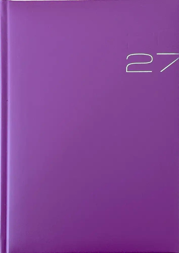Business timer 2027 roze