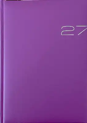 Business timer  2027 roze