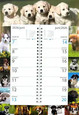 Omleg week kalender 2026 Lovely dogs