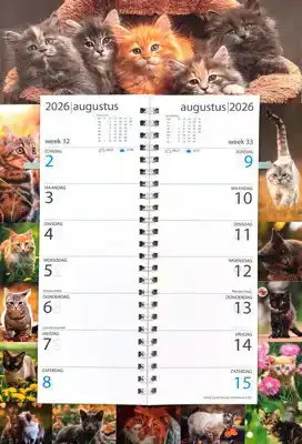 Omleg week kalender 2026 Lovely cats