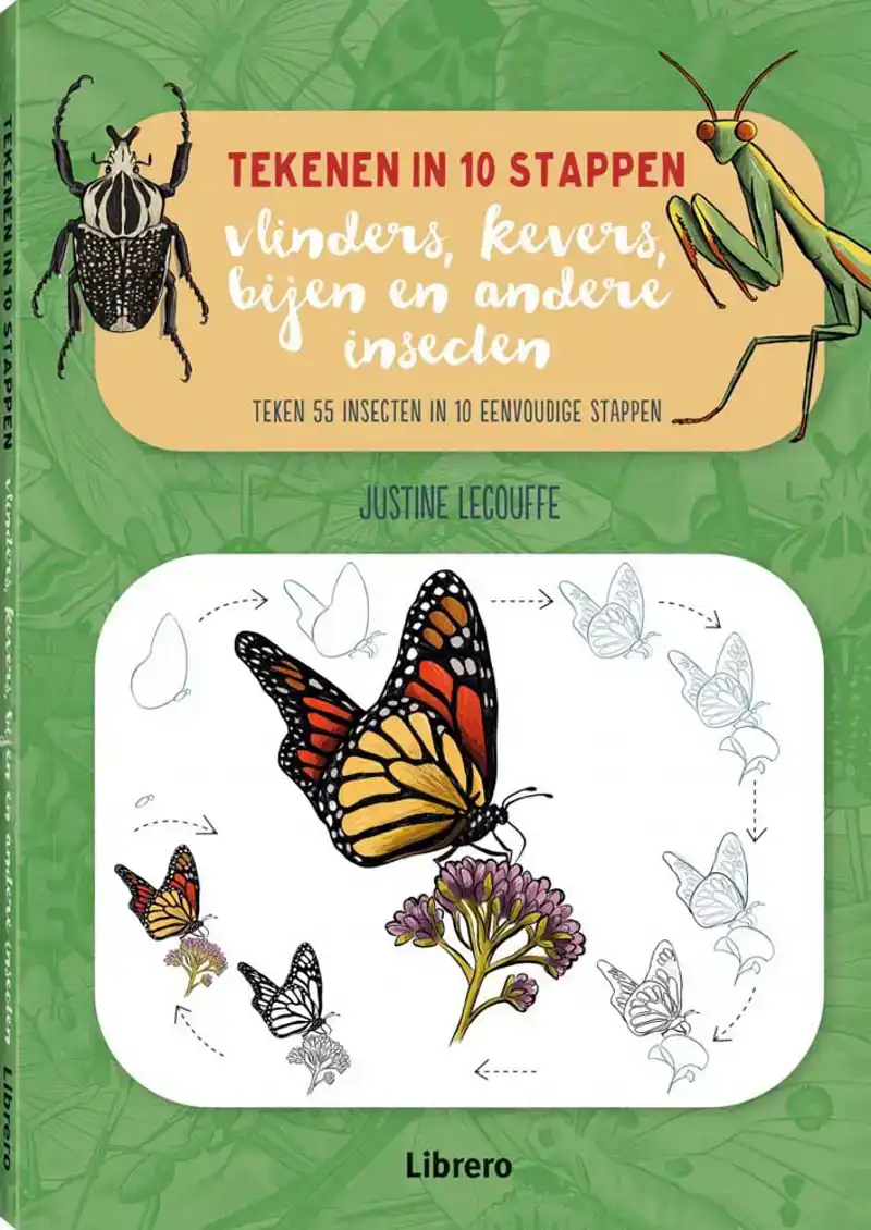 Vlinders, kevers, bijen en andere insecten tekenen in 10 stappen