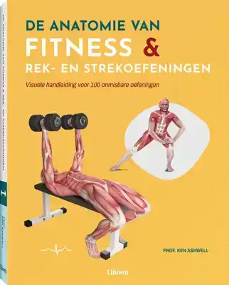 De anatomie van fitness & rek- en strekoefeningen