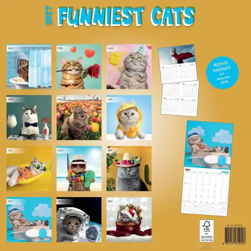 Kalender 2027: funniest cats