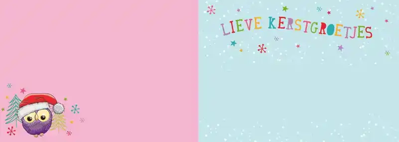 Kerstkaart 2025 uiltjes op een tak