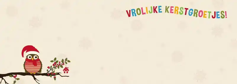 Kerstkaart 2025 uiltjes op een tak