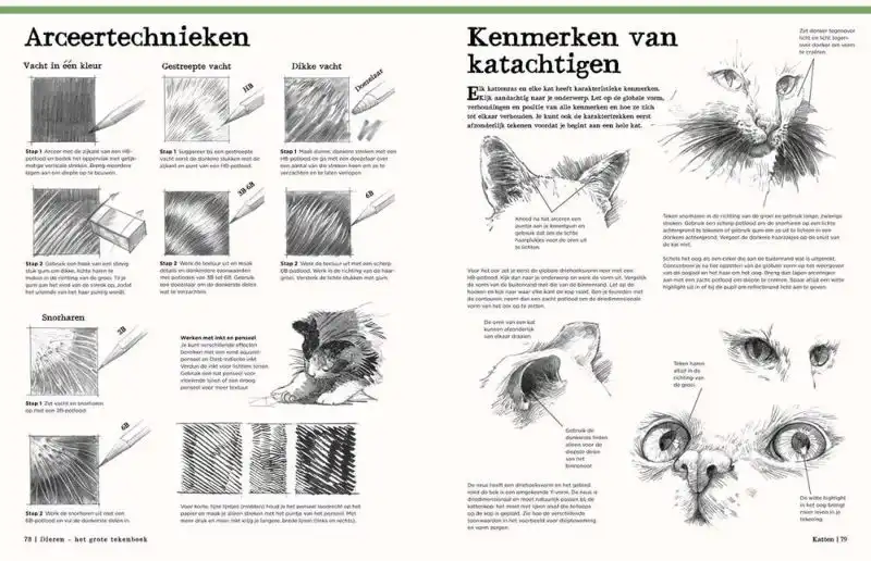 Dieren – het grote tekenboek