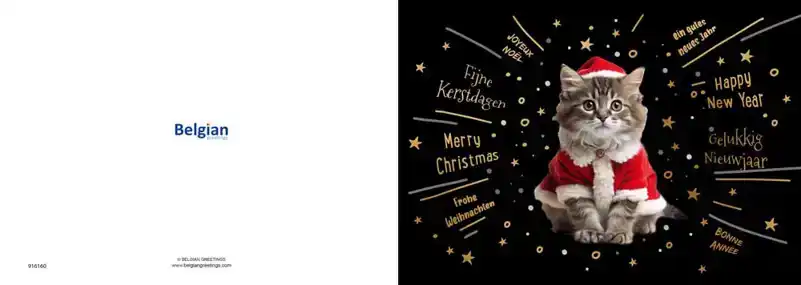 Kerstkaart 2025 kersthond/ kerstkat
