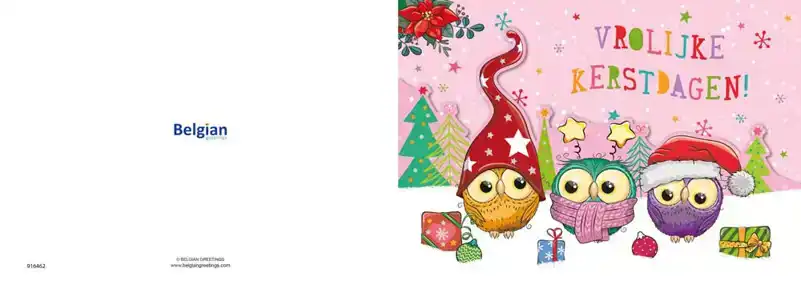 Kerstkaart 2025 uiltjes op een tak