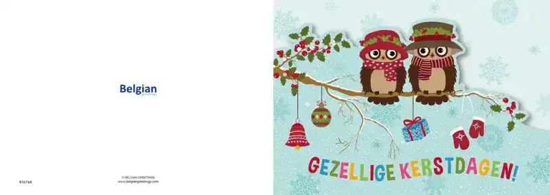 Kerstkaart 2025 uiltjes op een tak