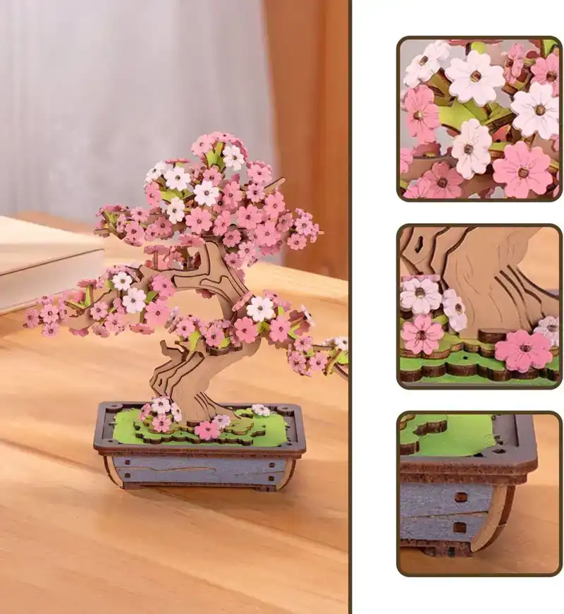 Sakura Bonsai