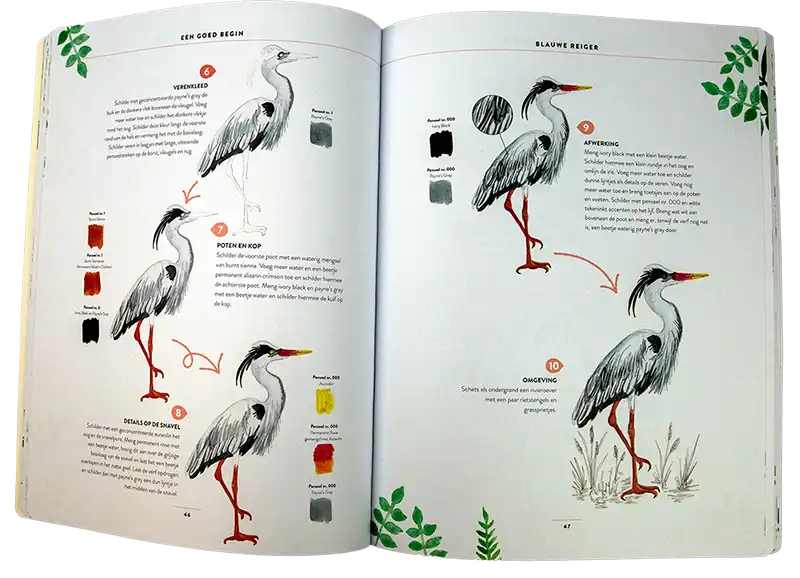 Vogels aquarelleren in 10 stappen