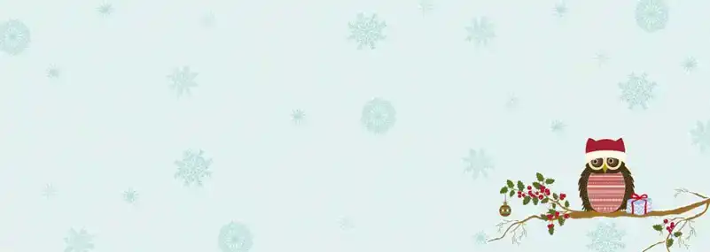Kerstkaart 2025 uiltjes op een tak
