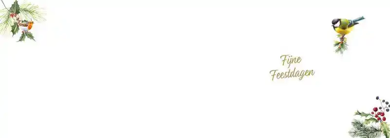 Kerstkaart 2025 Hart van takken