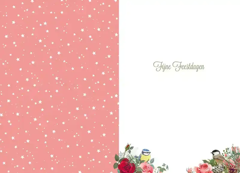 Kerstkaart 2025 fijne kerst takjes en vogels/ kerstdagen hart takken en vogels